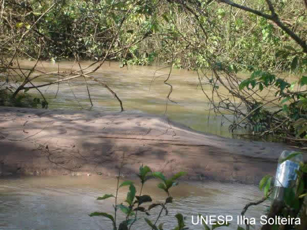 Bancos de areia no C&oacute;rrego do Coqueiro em 24 de maio 2007